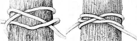 Tying Knots So Your Ties Will Bind Image